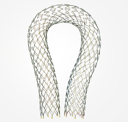 Stent with processed tube