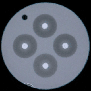 MulicoreFiberSplicing